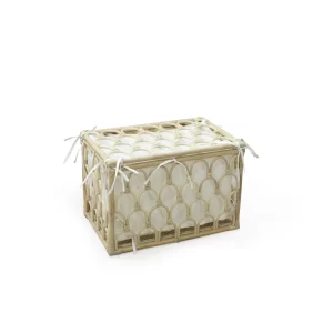 Rainbow Rattan Toy Box