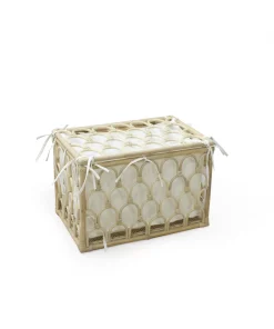 Rainbow Rattan Toy Box