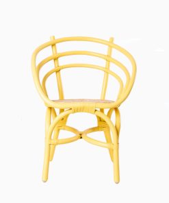 Elsa Chair for Birtday Party