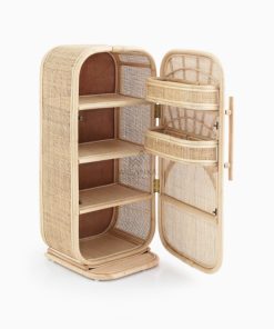 Joy Rattan Refigerator Toy for Children